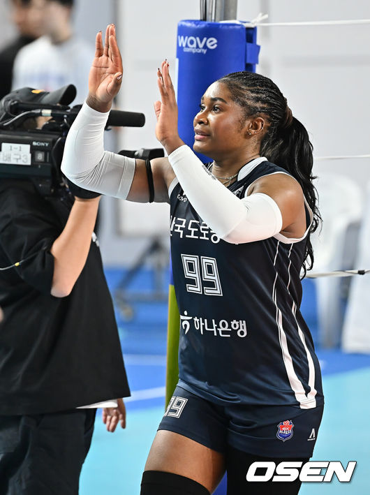 한국도로공사 하이패스 모마. /OSEN DB