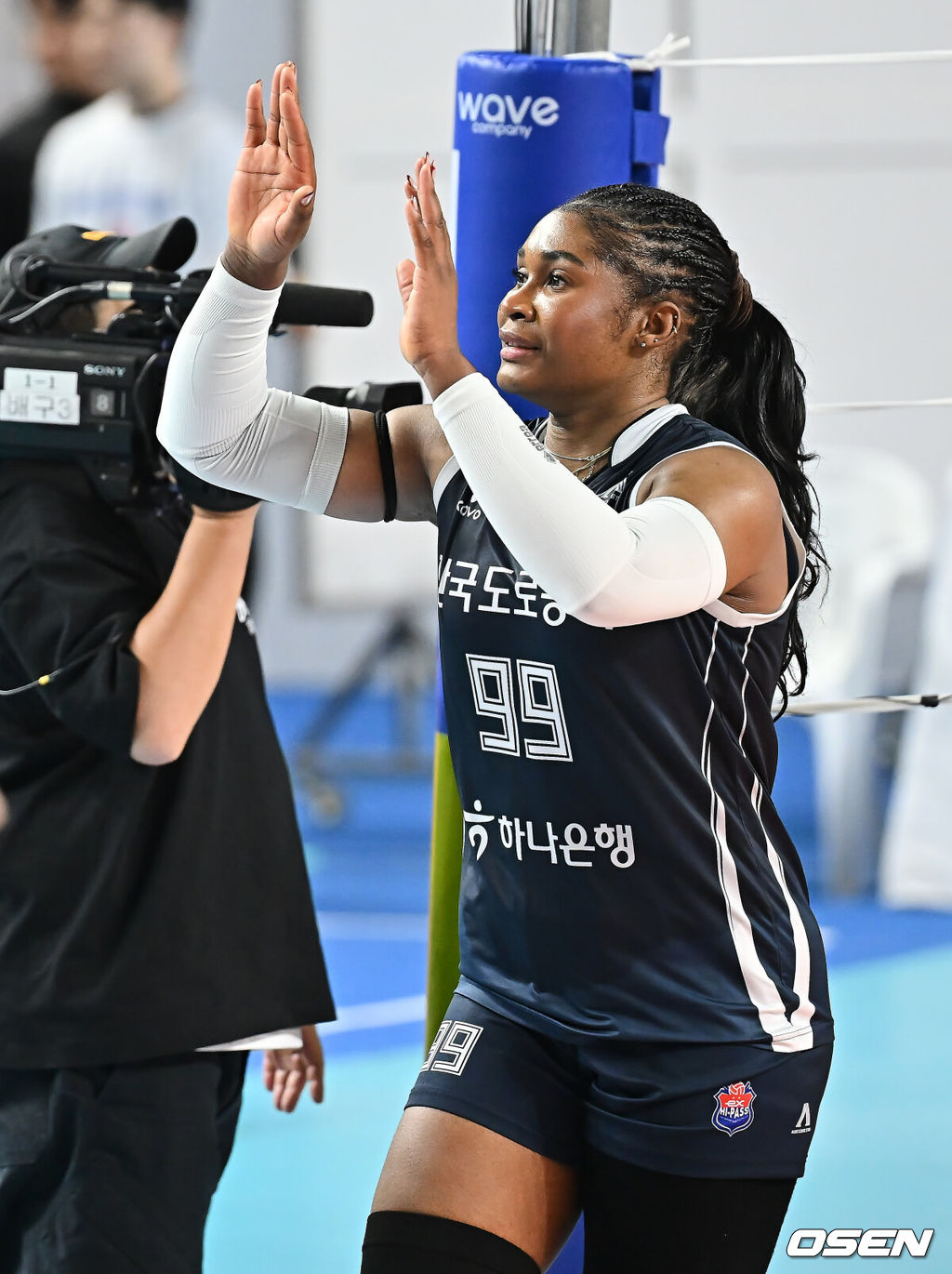 한국도로공사 하이패스 모마. /OSEN DB