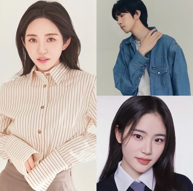 모덴베리코리아 제공