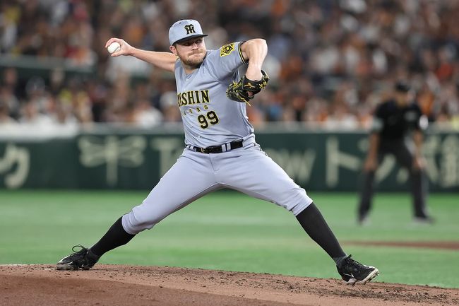 한신 타이거즈 SNS