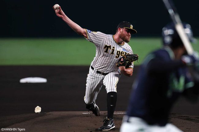 한신 타이거즈 제공