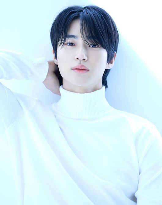 바로엔터테인먼트 제공