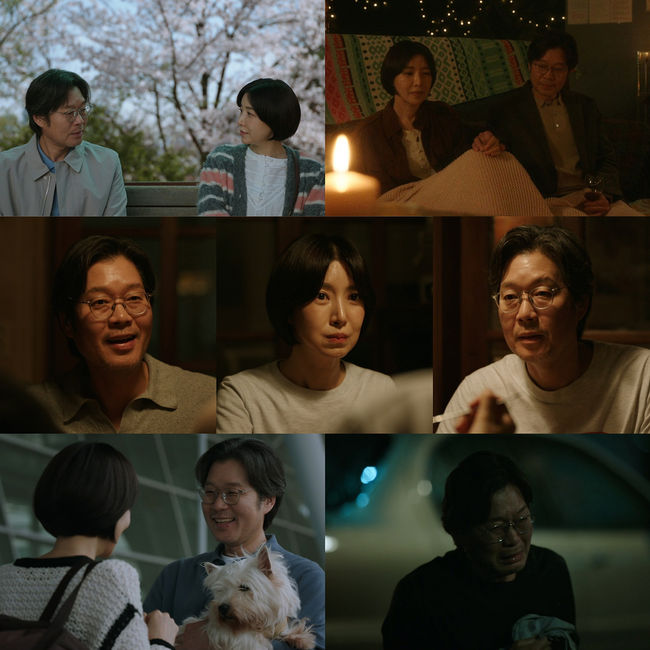 Processed with MOLDIV