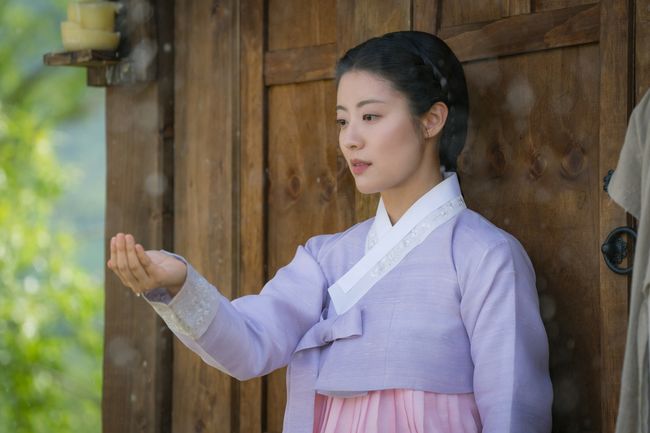 매니지먼트 숲 제공