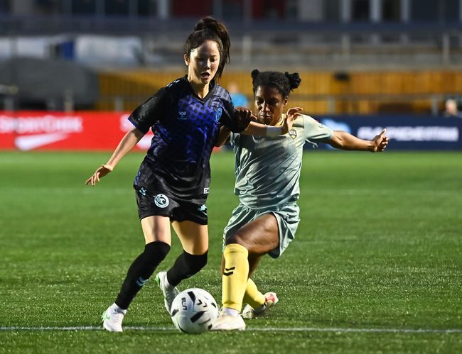 [사진] 이민아 제공