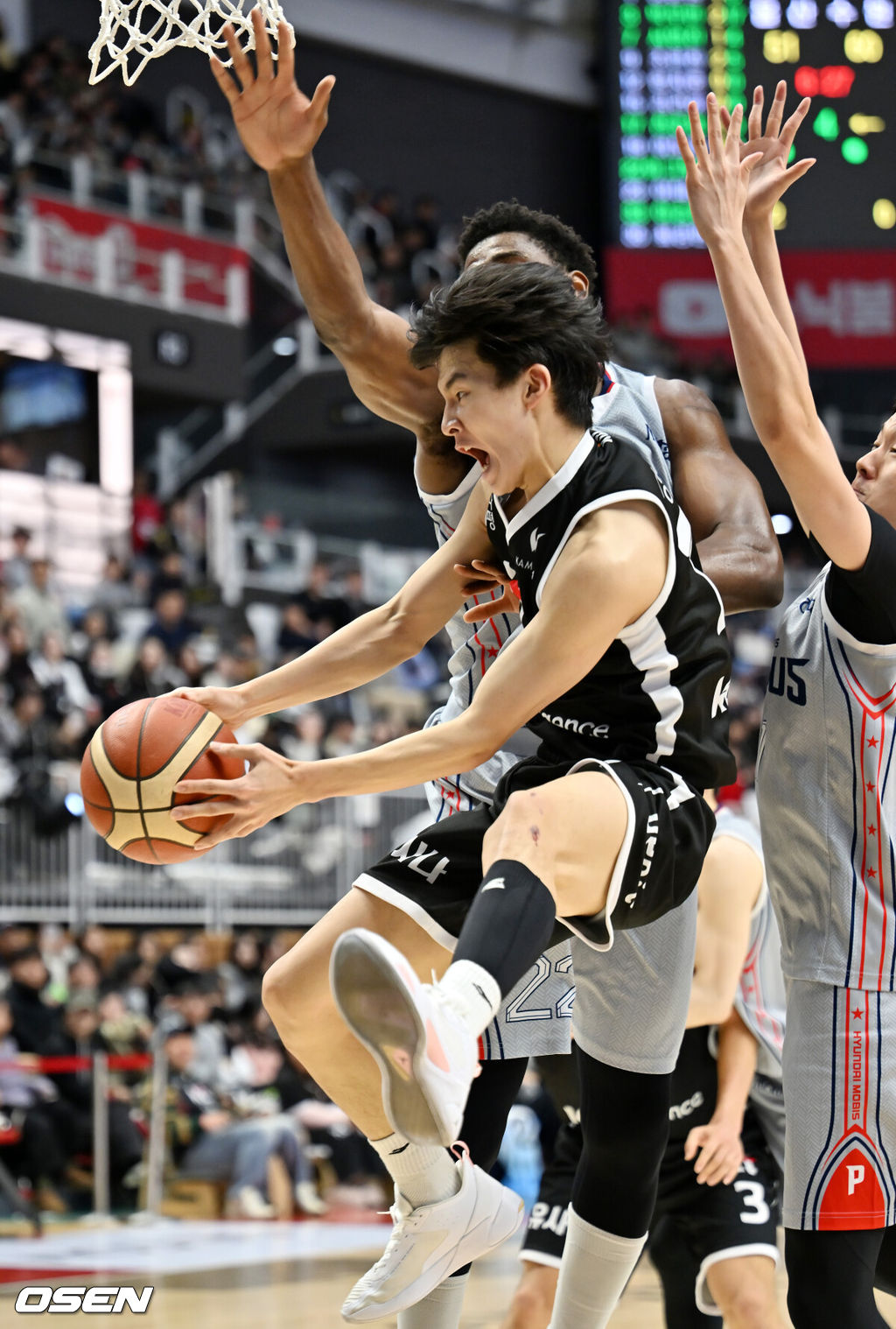 11일 오후 수원 KT 소닉붐 아레나에서 2025-2026 LG전자 프로농구 수원 KT 소닉붐과 울산 현대모비스 피버스의 경기가 열렸다.수원 KT는 15승 16패로 6위, 울산 현대모비스는 10승 20패로 8위를 기록 중이다.4쿼터 KT 윌리엄스가 강성욱이 공중에서 슛 모션 중 패스로 연결하고 있다. 2026.01.11 /rumi@osen.co.kr