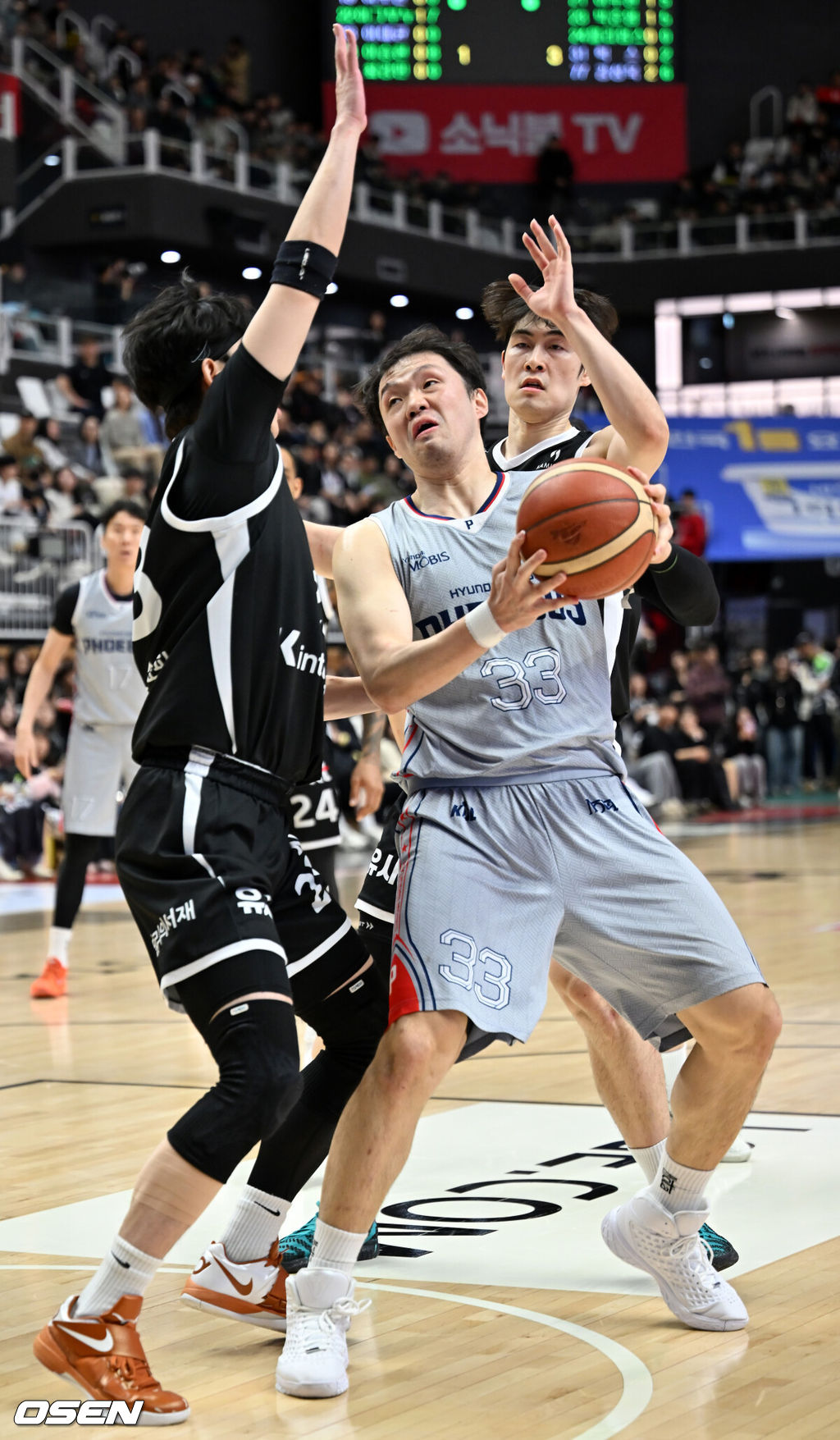 11일 오후 수원 KT 소닉붐 아레나에서 2025-2026 LG전자 프로농구 수원 KT 소닉붐과 울산 현대모비스 피버스의 경기가 열렸다.수원 KT는 15승 16패로 6위, 울산 현대모비스는 10승 20패로 8위를 기록 중이다.2쿼터 현대모비스 이승현이 슛을 시도하려 하고 있다. 2026.01.11 /rumi@osen.co.kr