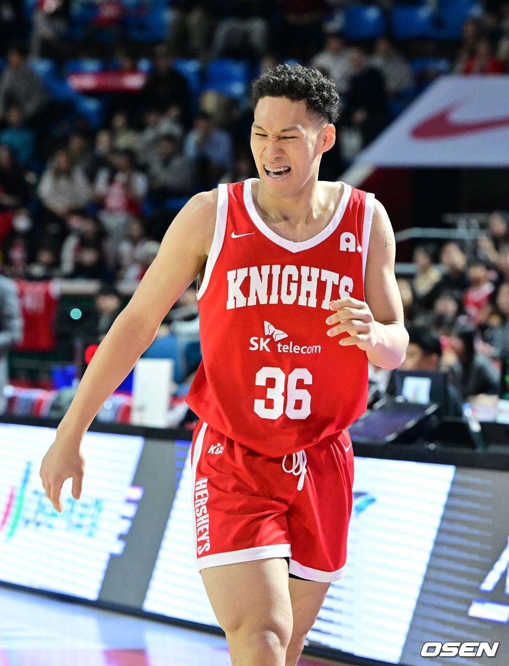 19일 오후 서울 잠실학생체육관에서 2025-2026 LG전자 프로농구 서울 SK와 원주 DB의 경기가 열렸다.SK는 17승 13패 4위, 8연승에 도전하는 DB는 20승 10패 2위를 기록중이다.3쿼터 DB 다니엘이 숨을 몰아쉬고 있다. 2026.01.13/ jpnews@osen.co.kr