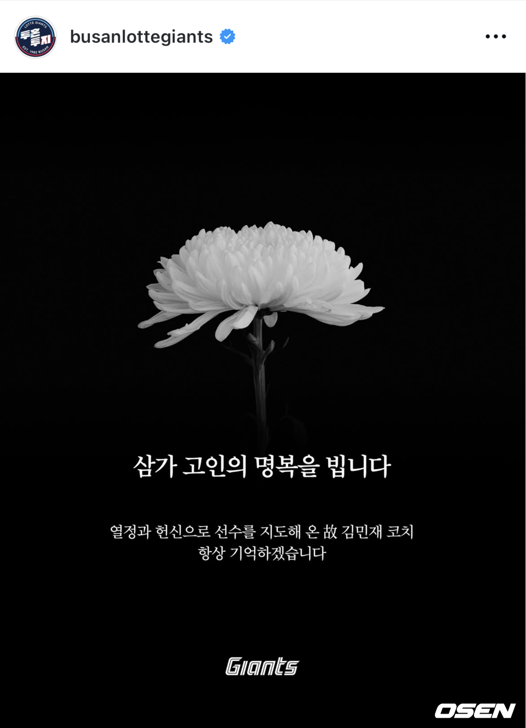 롯데 자이언츠 SNS