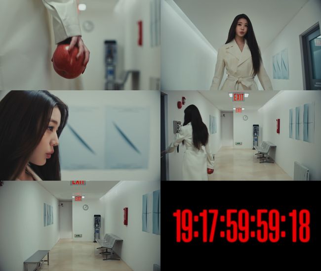 스타쉽엔터테인먼트 제공