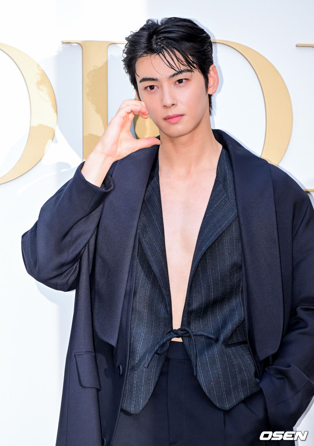 29일 오후 서울 성동구 성수동 디올 성수에서 디올 포토행사가 열렸다.이날 가수 뉴진스 해린, 배우 한소희, 차은우, 정해인, 로몬, 김민하, 전 피겨스케이팅 선수 김연아, 모델 박희정, 배윤영이 참석해 자리를 빛냈다.배우 차은우가 포즈를 취하고 있다. 2024.05.29 / jpnews@osen.co.kr