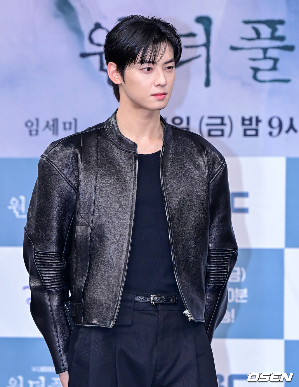 29일 오후 서울 상암동 MBC 골든마우스홀에서 새 금토드라마 ‘원더풀 월드’ 제작발표회가 열렸다.‘원더풀 월드는 아들을 죽인 살인범을 직접 처단한 은수현(김남주 분)이 그날에 얽힌 미스터리한 비밀을 파헤쳐 가는 휴먼 미스터리 드라마.배우 차은우가 포토타임을 하고 있다. 2024.02.29 /jpnews@osen.co.kr