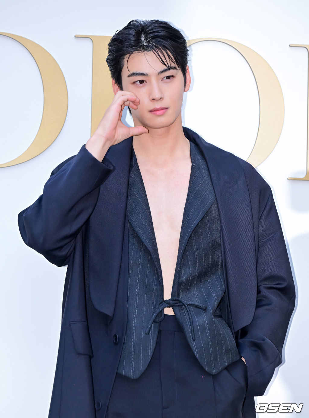 29일 오후 서울 성동구 성수동 디올 성수에서 디올 포토행사가 열렸다.이날 가수 뉴진스 해린, 배우 한소희, 차은우, 정해인, 로몬, 김민하, 전 피겨스케이팅 선수 김연아, 모델 박희정, 배윤영이 참석해 자리를 빛냈다.차은우가 포즈를 취하고 있다. 2024.05.29 / jpnews@osen.co.kr