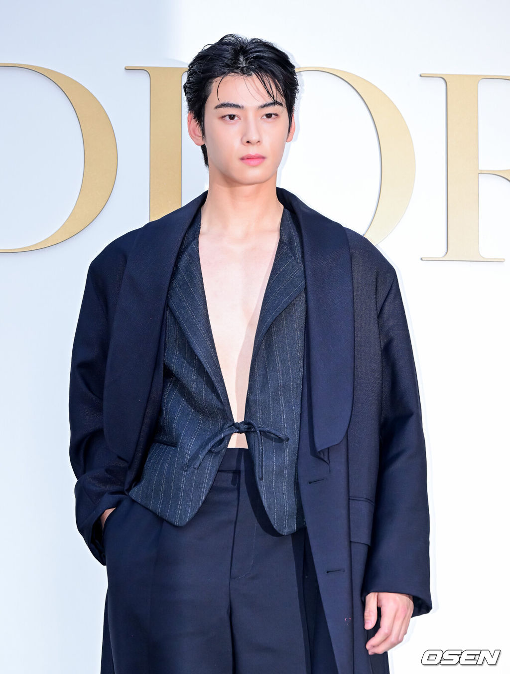 29일 오후 서울 성동구 성수동 디올 성수에서 디올 포토행사가 열렸다.이날 가수 뉴진스 해린, 배우 한소희, 차은우, 정해인, 로몬, 김민하, 전 피겨스케이팅 선수 김연아, 모델 박희정, 배윤영이 참석해 자리를 빛냈다.차은우가 포즈를 취하고 있다. 2024.05.29 / jpnews@osen.co.kr