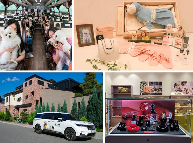 (좌측 상단부터) ▲반려동물 동반 여행 플랫폼&nbsp;‘펫츠고’&nbsp;여행을 이용하는 모습 ▲보람상조 반려동물 상조상품&nbsp;‘스카이펫’의 전용 장례 용품 ▲고품격 장례 의전을 지원하는 스카이펫 전용 차량 ▲반려동물 생체보석&nbsp;‘펫츠비아(PETSVIEA)’ / 사진제공=보람그룹