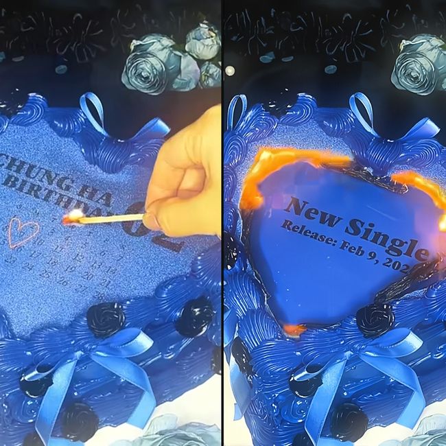 MORE VISION(모어비전) 제공