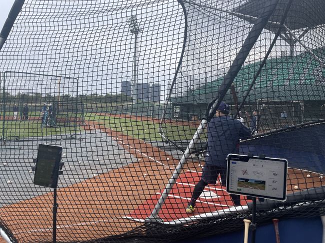 롯데 자이언츠 제공