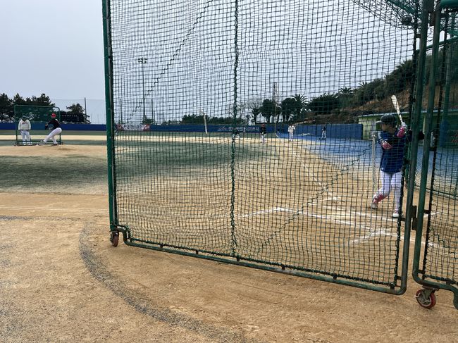 울산 웨일즈 제공