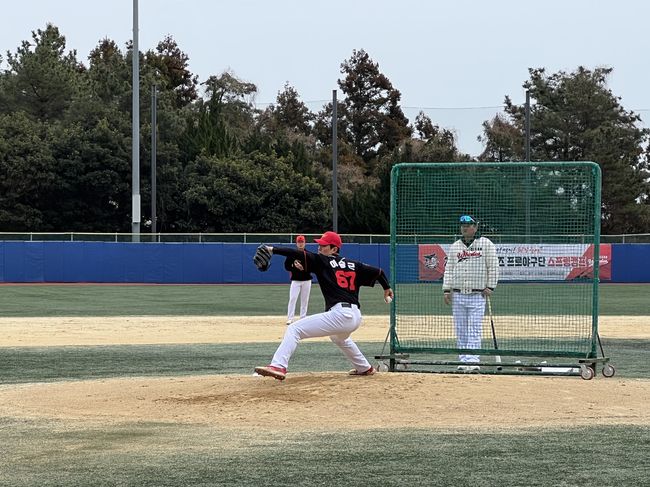 울산 웨일즈 제공