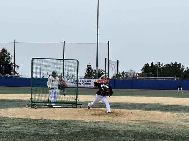 울산 웨일즈 제공