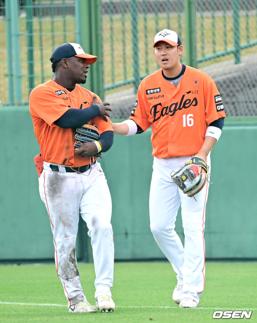 '내 잘못이야'... 하주석 향한 페라자의 제스처