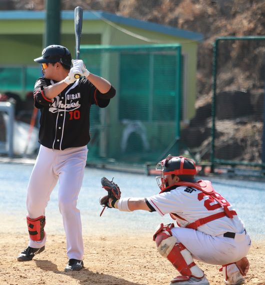 울산 웨일즈 제공 