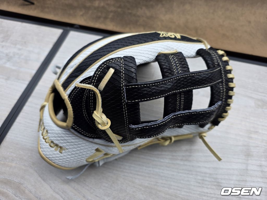 한화 이글스 제공