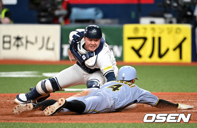 [OSEN=오사카(일본), 손용호 기자] 2일 일본 오사카 교세라돔에서 월드베이스볼클래식(WBC) 공식 연습 경기 한국 야구 대표팀과 한신 타이거스의 경기가 열렸다.우리 대표팀은 3일 같은 장소에서 오릭스 버팔로스와 연습 경기 2차전을 치른 뒤 5일 일본 도쿄돔에서 체코와 WBC 조별리그 1차전에서 격돌한다.8회말 1사 1,3루에서 한국 노시환의 송구를 받은 김형준이 홈으로 쇄도하는 한신 3루주자 나가노를 태그아웃 처리하고 있다. 2026.03.02 /spjj@osen.co.kr