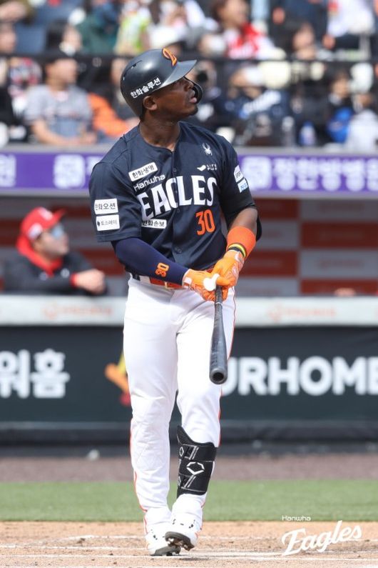 한화 이글스 제공