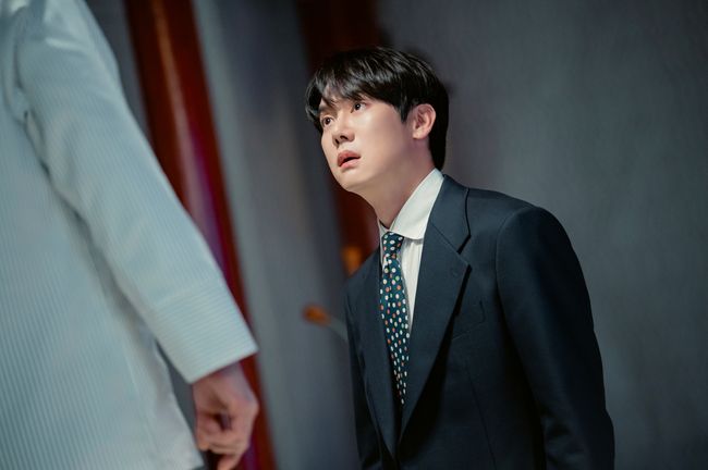 킹콩 by 스타쉽 제공