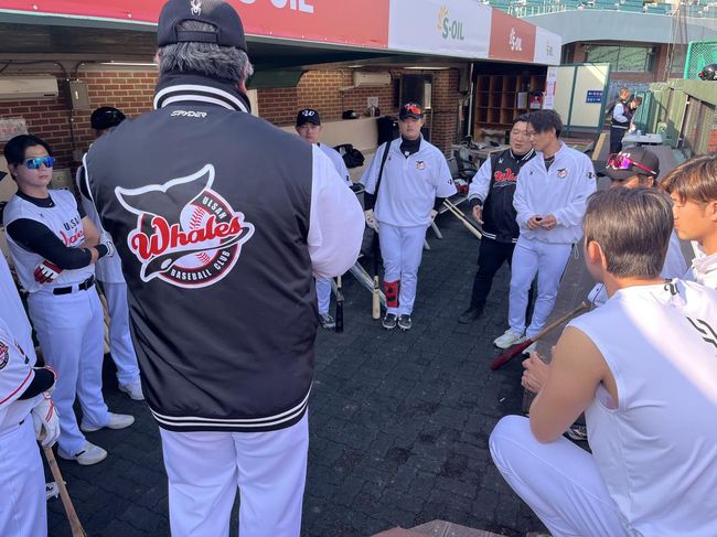 울산 웨일즈 제공