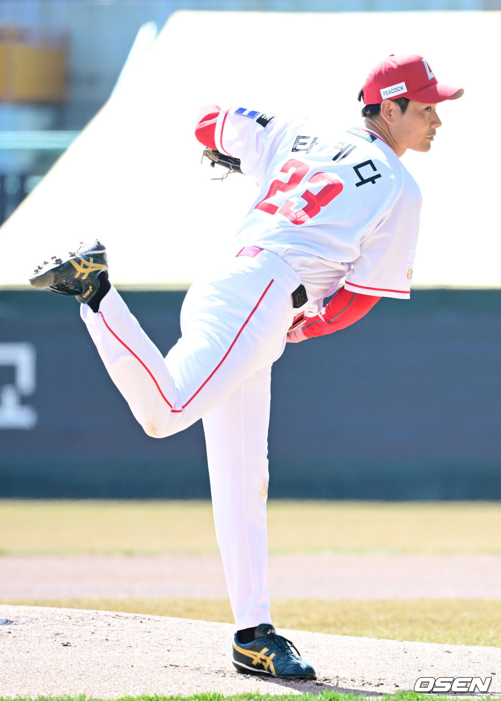 SSG 타케다 쇼타. 2026.03.19 / dreamer@osen.co.kr