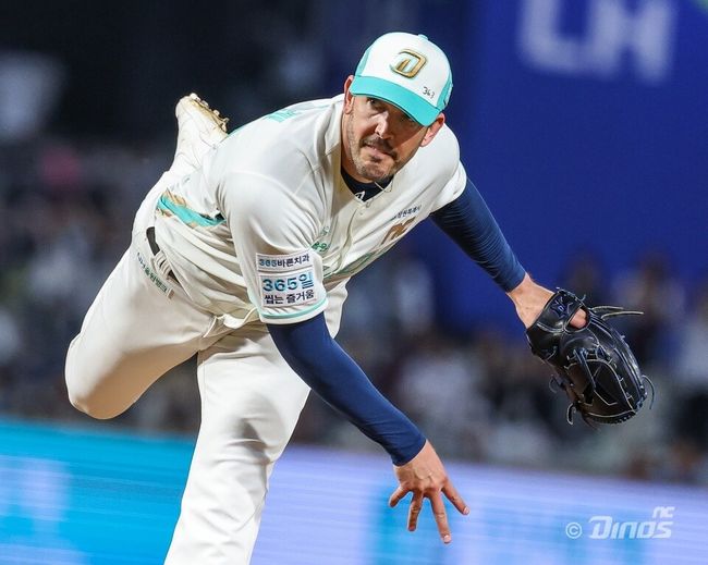 NC 다이노스 제공