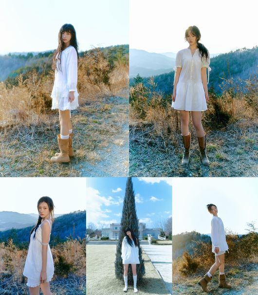 더뮤즈엔터테인먼트 제공