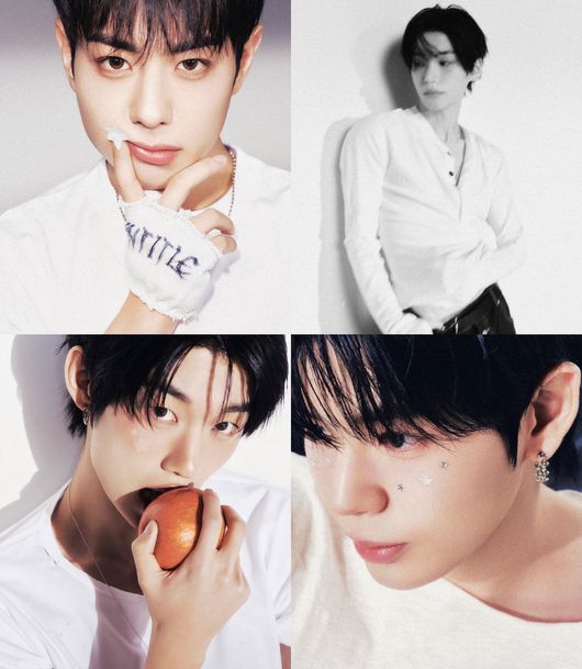 젤리피쉬엔터테인먼트 제공