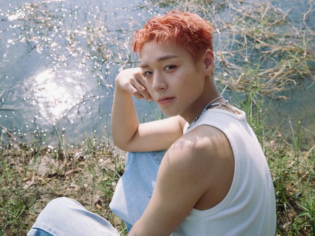 YY엔터테인먼트 제공