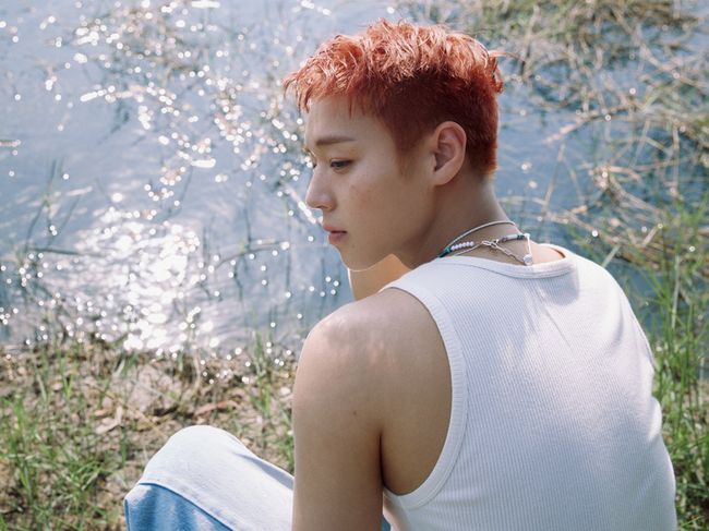 YY엔터테인먼트 제공