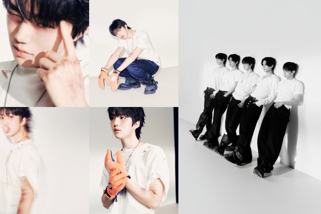 젤리피쉬엔터테인먼트 제공