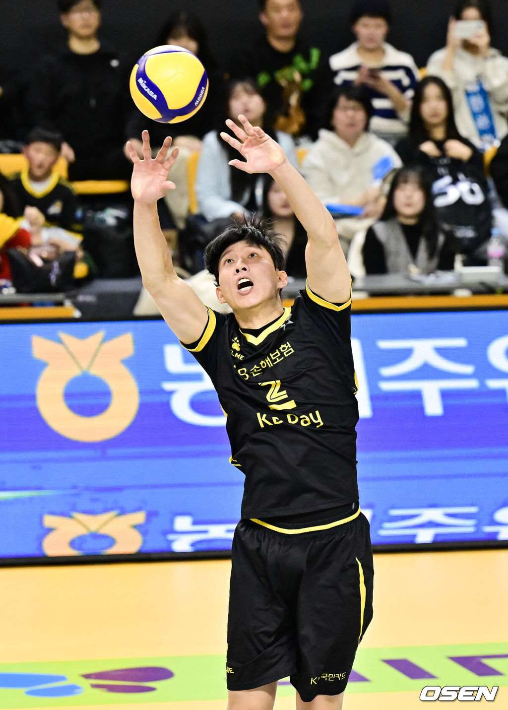 29일 오후 경기도 의정부 경민대학교 실내체육관에서 '진에어 2025~2026시즌 V리그' 남자부 KB손해보험과 현대캐피탈의 경기가 진행됐다.KB손해보험은 10경기 6승으로 승점 19점 2위를 지키는 중이고, 현대캐피탈은 한 경기 덜 치른 가운데 승점 16점 5승으로 바짝 추격 중이다. 2세트 KB손해보험 황택의가 토스를 올리고 있다. 2025.11.29 / soul1014@osen.co.kr