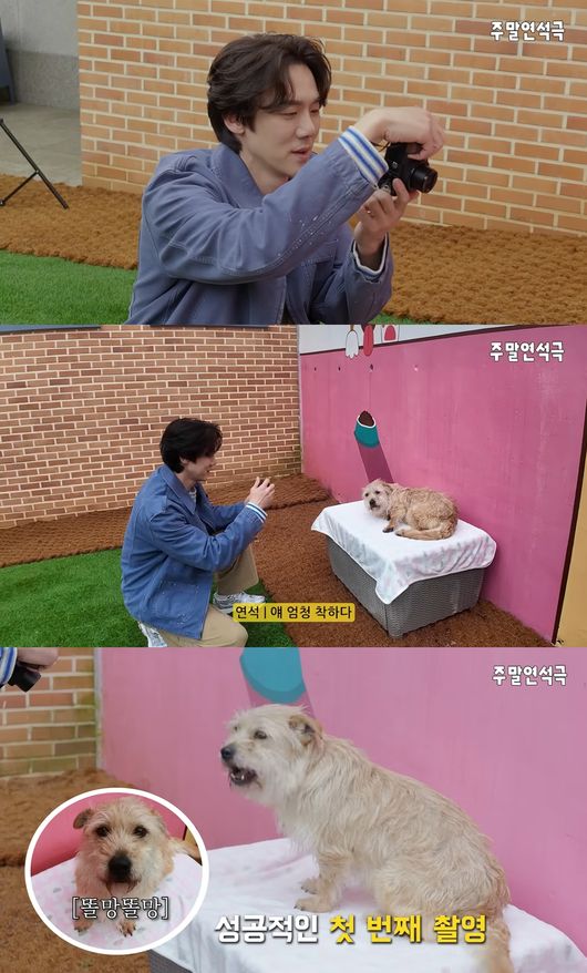 '주말연석극' 영상