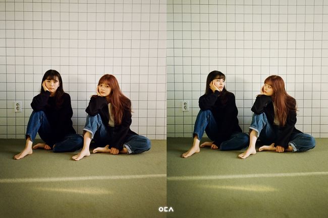 에이치오이엔티 제공