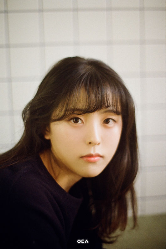 에이치오이엔티 제공