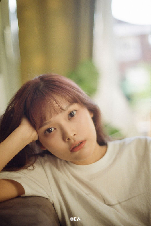 에이치오이엔티 제공