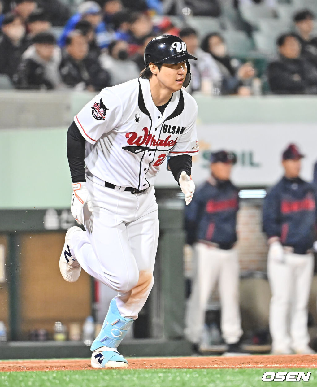 울산 웨일즈 김동엽 051 2026.03.20 / foto0307@osen.co.kr