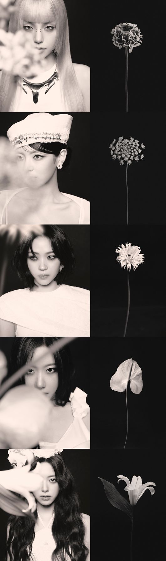 JYP엔터테인먼트 제공