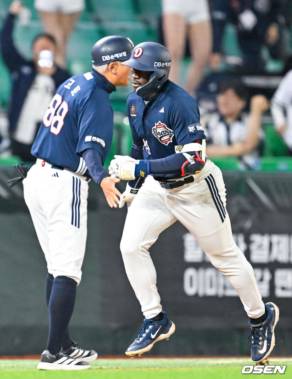 OSEN DB