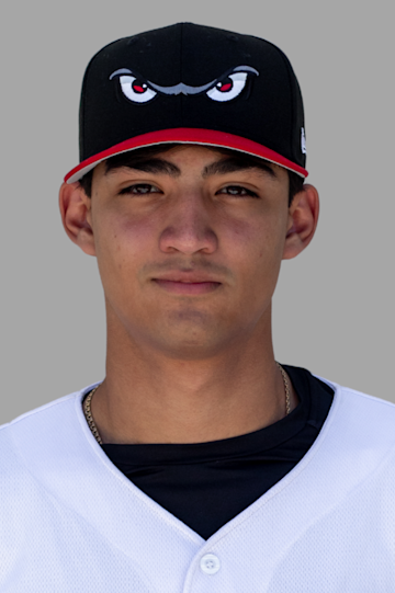 MiLB.com 홈페이지