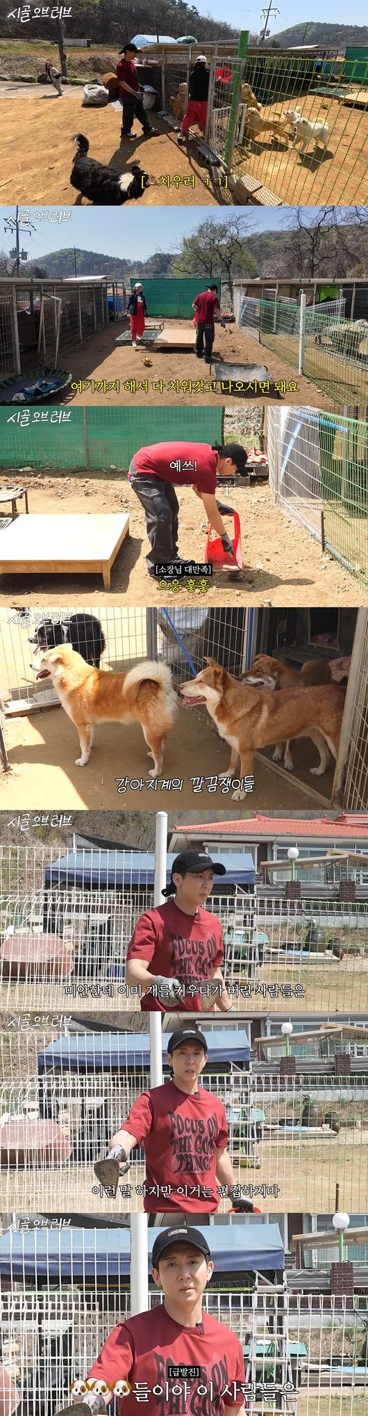 '더브라이언' 영상