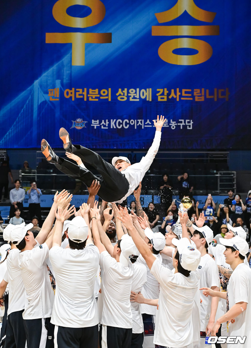 정규리그 6위가 챔프전 우승을 했다! 부산 KCC가 프로농구 새 역사를 썼다. 부산 KCC는 13일 고양소노아레나에서 개최된 2025-26 LG전자 프로농구 챔피언결정전 5차전에서 고양 소노를 76-68로 제압했다. KCC는 4승 1패로 2년 만의 챔프전 우승컵 탈환에 성공했다.우승 시상식에서 KCC 이상민 감독이 헹가래를 받고 있다.  2026.05.13 / soul1014@osen.co.kr