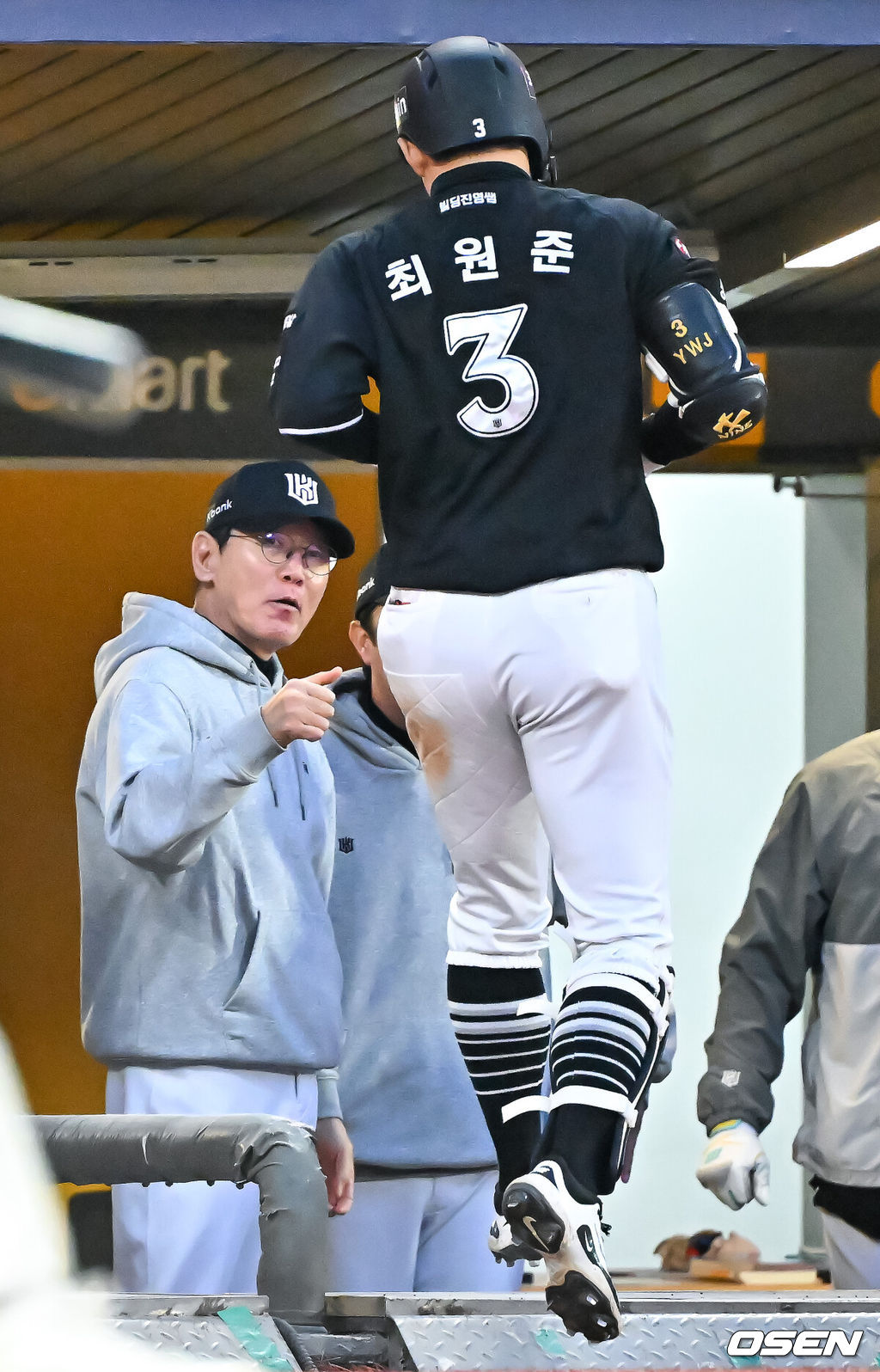 OSEN DB